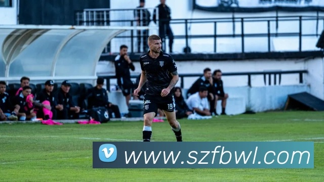 App Interface Preview